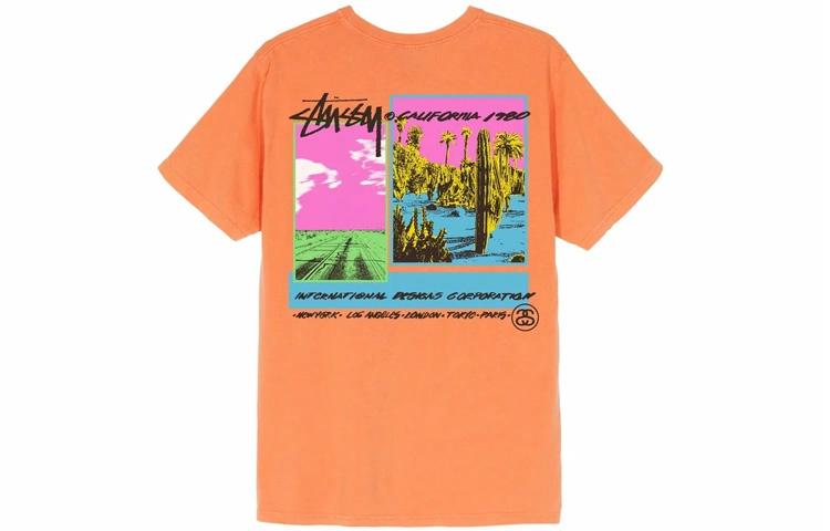 Футболка Stussy Palm Desert Tee T (разноцветный) — фото 7