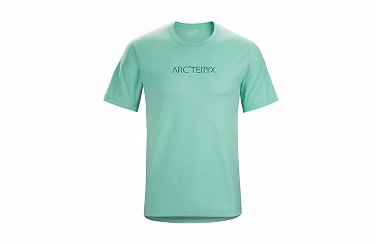 Мужская футболка Arcteryx Remige Word (серая)