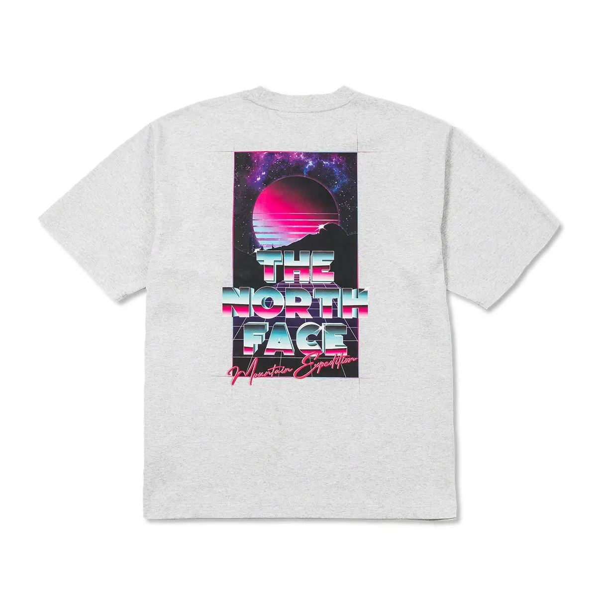 Мужская футболка The North Face x INVINCIBLE (серая)
