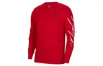 Jordan T Shirts Men's Gym Red Crew Neck Moderate Straight Fit
