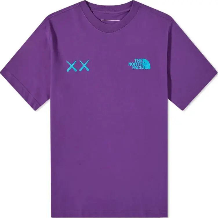 Kaws X THE NORTH FACE Tee