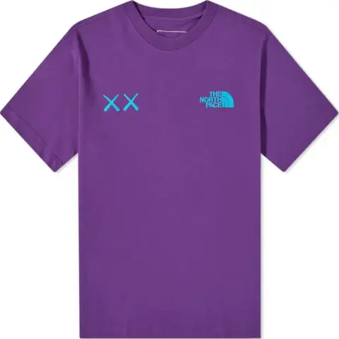 Kaws X THE NORTH FACE Tee