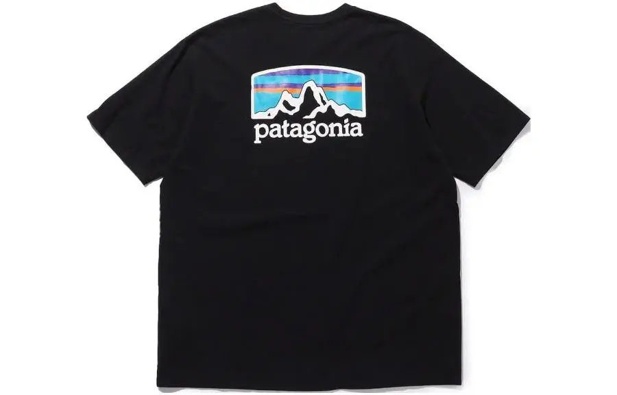 Patagonia Fitz Roy Horizons T Shirt Men's