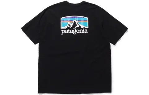 Patagonia Fitz Roy Horizons T Shirt Men's