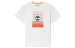 Timberland T Shirts Men's White Crew Neck Moderate Straight Fit