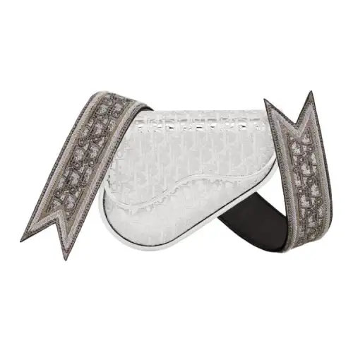 DIOR Cow Leather Saddle Bag, Sling Bag, Crossbody Bag Mini Men's Silver