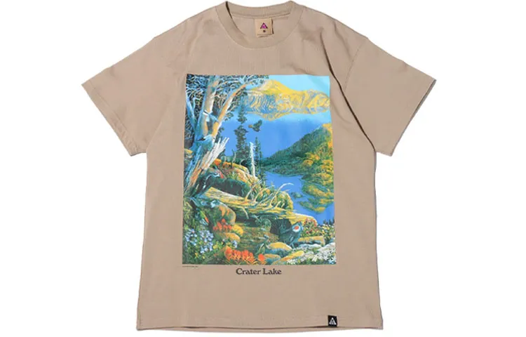Nike ACG T-Shirts Men's Khaki Crew Neck Moderate Straight Fit