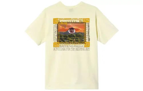 Stussy Mojave T shirt