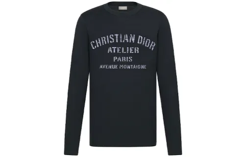 DIOR Quarterly New Products T Shirts Men's Marine Blue Crew Neck Moderate Straight Fit