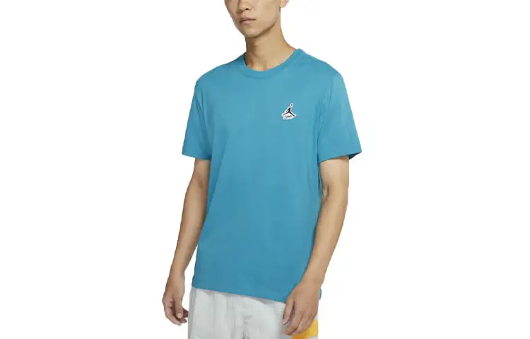 Jordan T Shirts Men's Blue Crew Neck Moderate Straight Fit