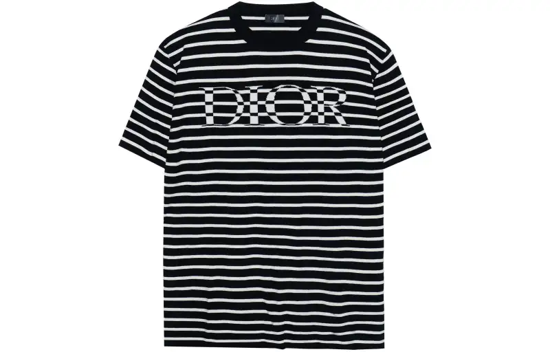 DIOR Quarterly New Products T Shirts Men's Marine Blue Crew Neck Moderate Straight Fit