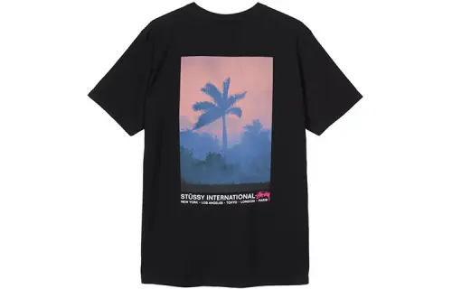 Stussy T Shirts Unisex Crew Neck Moderate Straight Fit