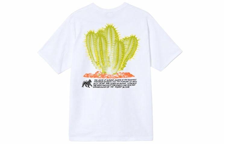 Футболка Stussy Desert Bloom Tee (разноцветная) — фото 9