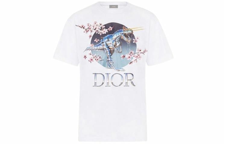 Мужская футболка Dior DIOR DIOR T (белая)