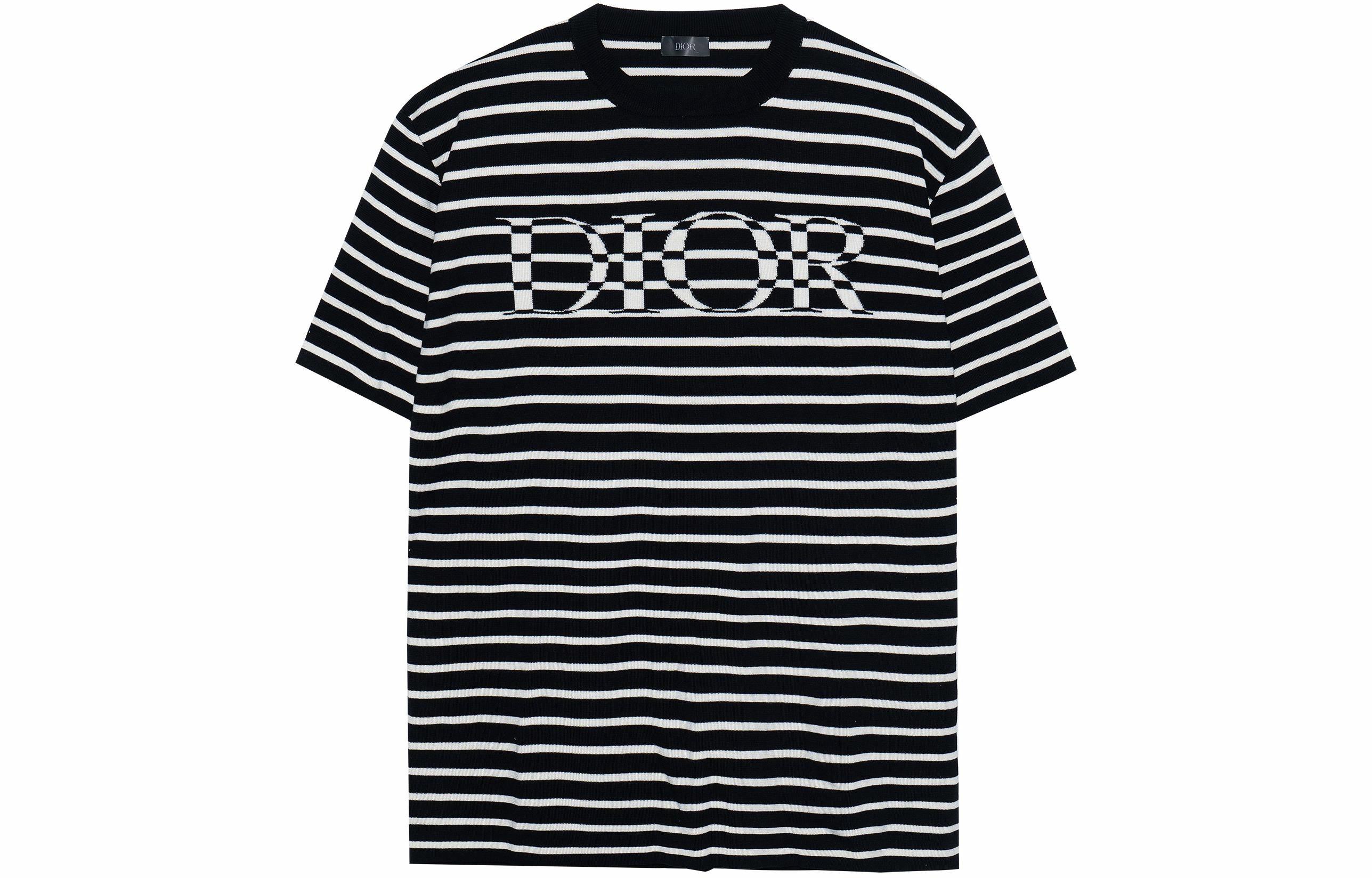 Мужские футболка Dior T (синяя)