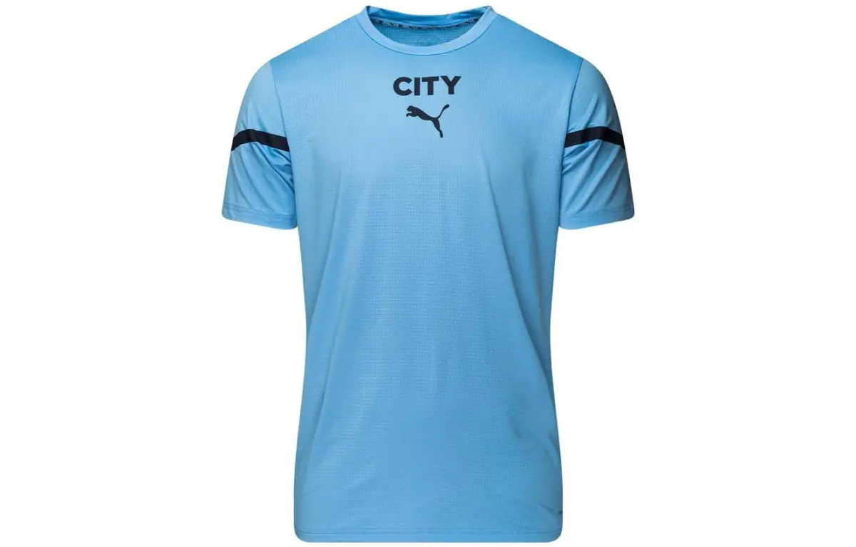 PUMA T-Shirts Men's Blue Crew Neck Moderate Straight Fit