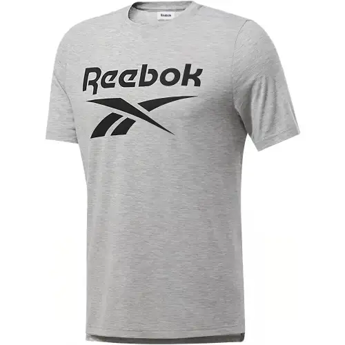 Reebok T Shirts Men's Gray Crew Neck Thin Straight Fit