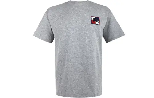 Burberry T Shirts Men's Gray Crew Neck Moderate Straight Fit