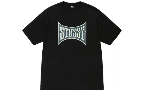 Stussy Champion Pigment Dyed Tee