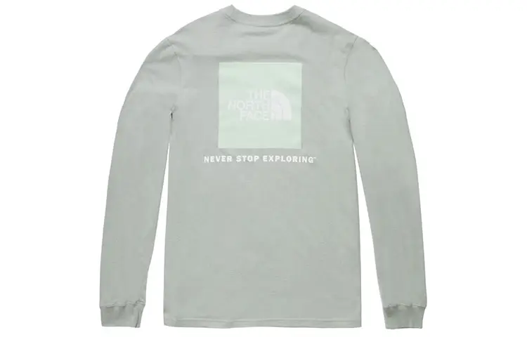 THE NORTH FACE T Shirts Men's Slate Gray Crew Neck Moderate Straight Fit