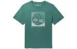 Timberland T Shirts Men's Turquoise Crew Neck Moderate Straight Fit