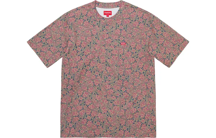 Supreme Small Box Tee SS20