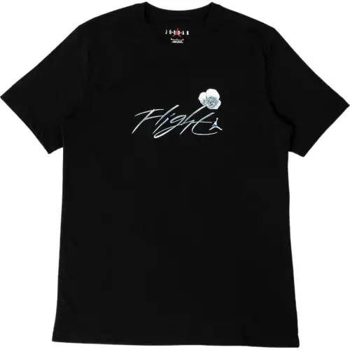 Jordan Metallic Spring Graphic Short Sleeve T shirt