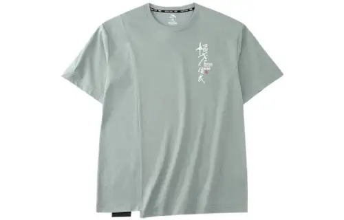 Anta T Shirt Men's Pea Gray Green