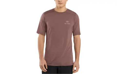 Arcteryx IONIA T-Shirts Men's Crew Neck Moderate Straight Fit