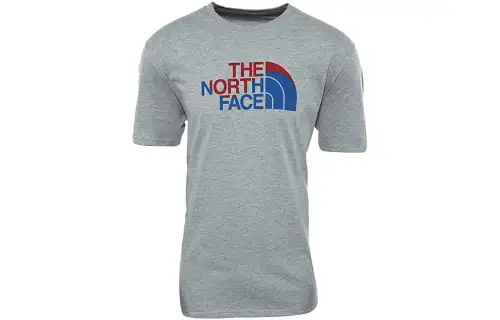 THE NORTH FACE T Shirts Men's Gray Crew Neck Moderate Straight Fit