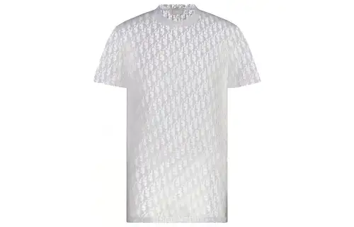 DIOR Sheer Oblique T Shirt
