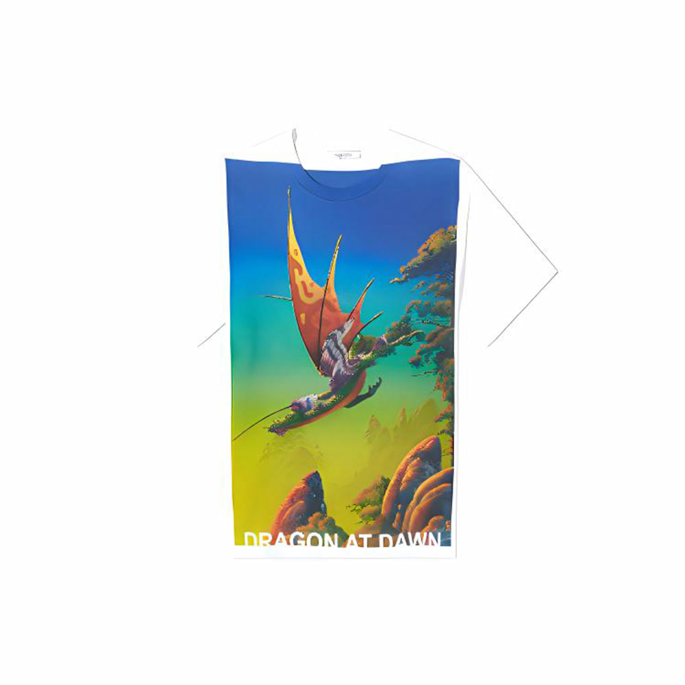 Мужская футболка Valentino Valentino T (белая)