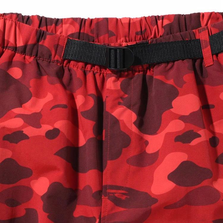 Мужские штаны A BATHING APE (многоцветные) — фото 3