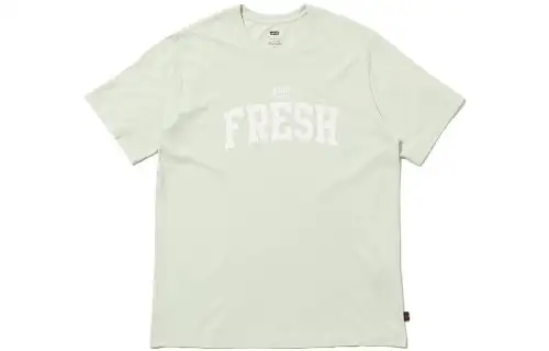 Levis T Shirts Men's Green Crew Neck Moderate Straight Fit