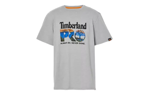 Timberland T Shirts Men's Light Gray Crew Neck Moderate Straight Fit