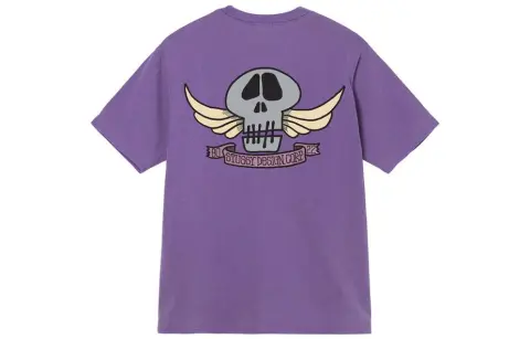 Stussy Skull Wings Pigment Dyed Tee