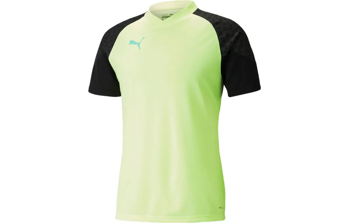 PUMA IndividualCUP Men's Soccer Jersey