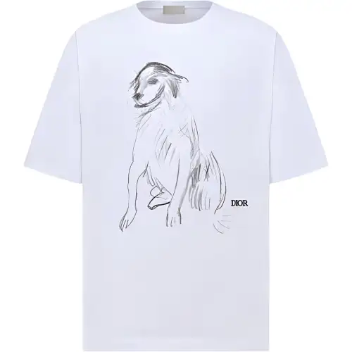 DIOR T Shirts Men's White Crew Neck Moderate Straight Fit