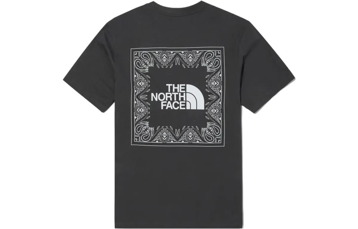 THE NORTH FACE Paisley T Shirt Men's Gray
