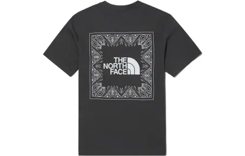 THE NORTH FACE Paisley T Shirt Men's Gray