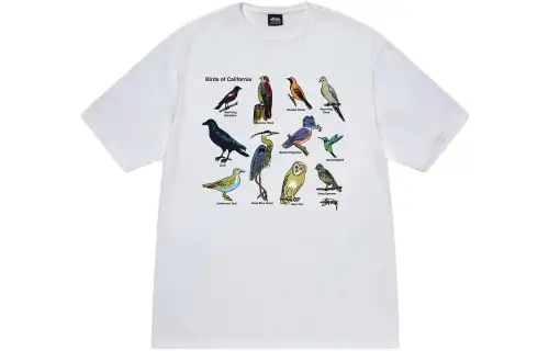 Stussy California Birds Tee