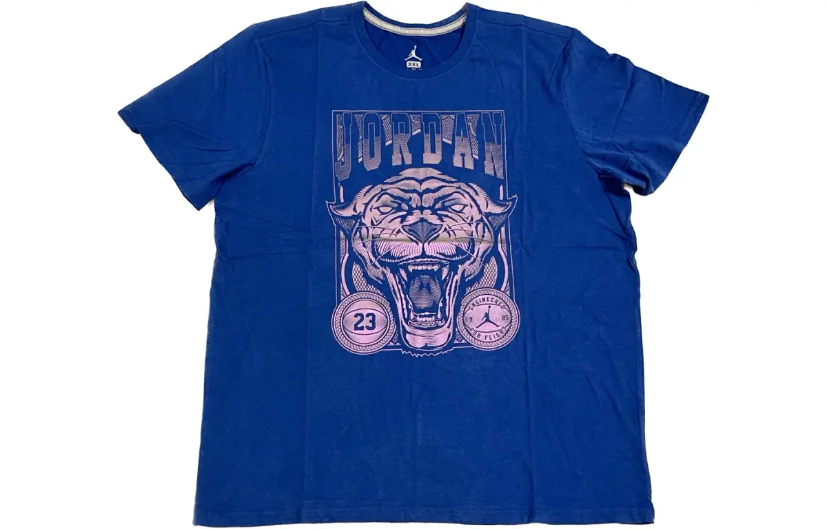Jordan T-Shirts Men's Blue Crew Neck Moderate Straight Fit