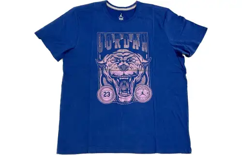 Jordan T Shirts Men's Blue Crew Neck Moderate Straight Fit