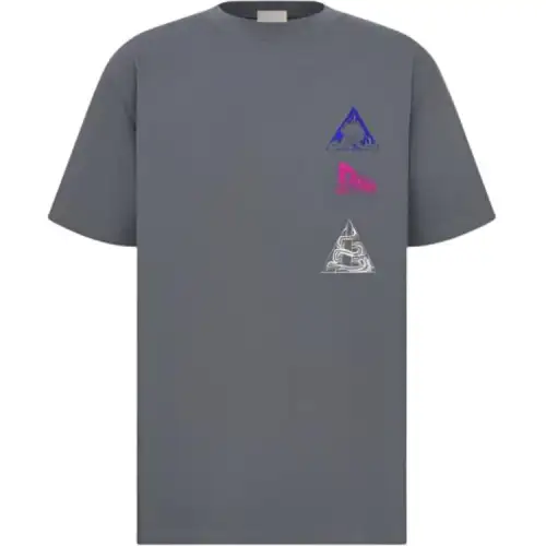 DIOR T Shirts Men's Gray Crew Neck Moderate Straight Fit