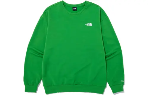 THE NORTH FACE T Shirts Men's Green Crew Neck Moderate Straight Fit