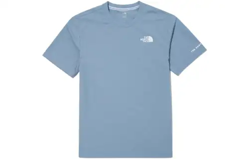 THE NORTH FACE T Shirts Men's Blue Crew Neck Moderate Straight Fit