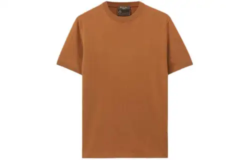 Loro Piana Vicuña Crew Neck T Shirt Men's Dark Brown