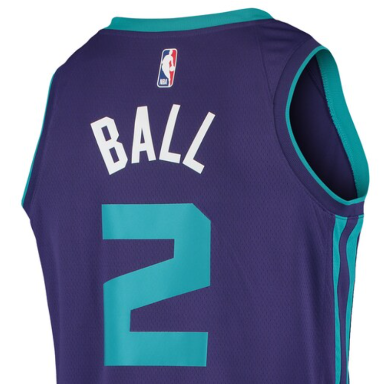 Jordan Basketball Jerseys Men’s Purple Moderate Straight Fit