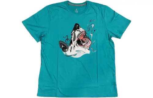 Jordan T Shirts Men's Sky Blue Crew Neck Moderate Straight Fit
