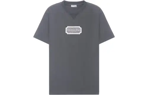 DIOR T Shirts Men's Gray Crew Neck Moderate Straight Fit